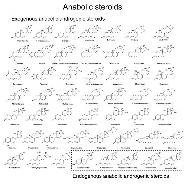 Structural formulas of anabolic androgenic steriods vector art illustration