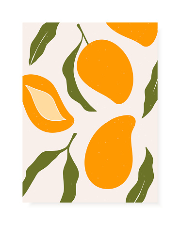 Stylish vector cover design with mango fruits. Composition of trendy hand drawn mangos and leaves for postcards, print, posters, brochures, etc. Vector illustration.
