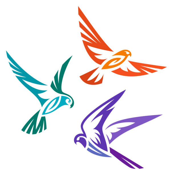ilustrações de stock, clip art, desenhos animados e ícones de stylized birds - kestrel - açores