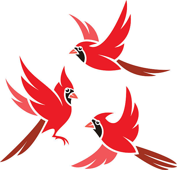 Stylized Birds Stylized Bird - Northern Cardinal cardinals stock illustrations
