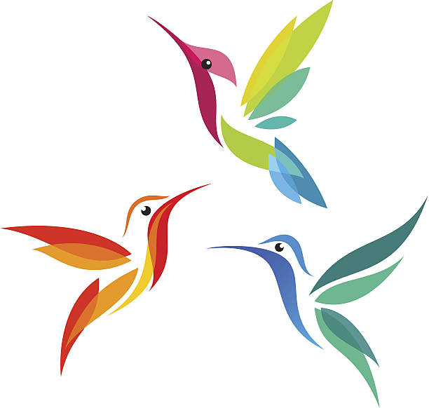 Stylized Birds Stylized Hummingbirds in flight hummingbird stock illustrations