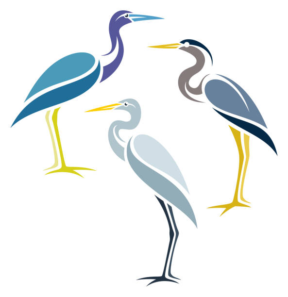 Stylized Birds Stylized Herons heron family stock illustrations