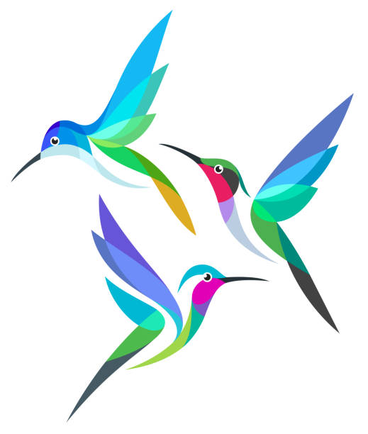 bildbanksillustrationer, clip art samt tecknat material och ikoner med stiliserade färgglada fåglar - kolibri