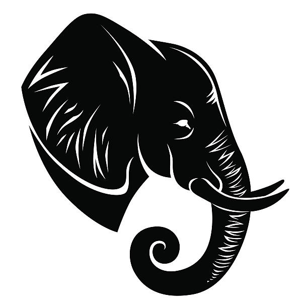 Top 60 Black And White Elephant Clip Art, Vector Graphics ...