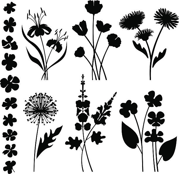 Stylized garden flowers Variable garden flowers and flower heads.  flower silhouettes stock illustrations