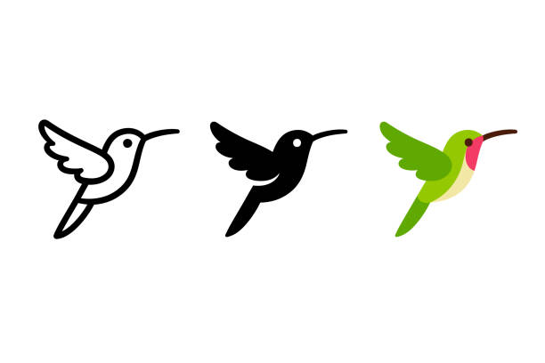 Stylized hummingbird icon Stylized hummingbird icon in different styles: line art, solid black and color. Isolated colibri symbol vector illustration. bird symbols stock illustrations