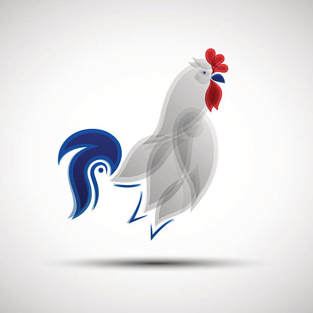 Stylized Rooster Stylized Rooster. Vector illustration of abstract Gallic rooster as symbol of France national football team for your design france football stock illustrations