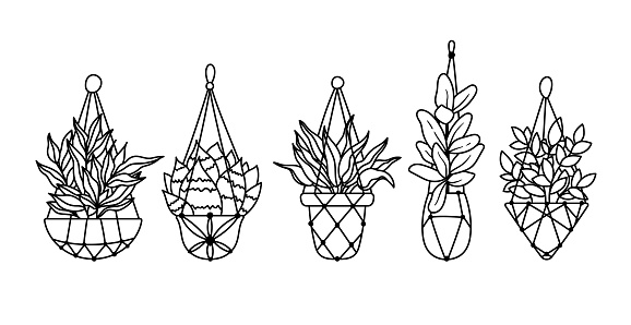 succulent, ficus hanging plants, potted boho houseplants isolated clipart bundle, black and white floral decorative elements, outline home plants botanical items, cute flower in pot - vector