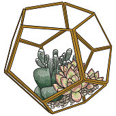 Three succulent plants in a glass terrarium with a pebble base.
