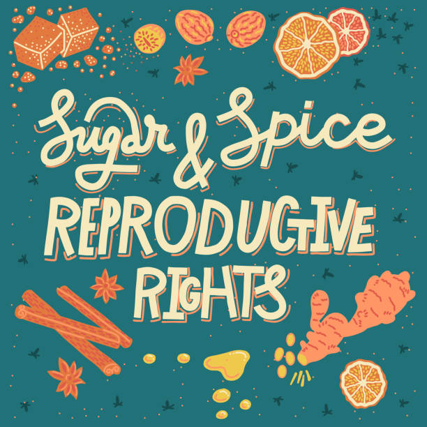 Sugar and spice and reproductive rights. Square card with lettering Sugar and spice and reproductive rights. Hand-drawn feminist slogan. Vector hand drawn lettering and illustration of cinnamon, nutmeg, other baking spices. Pro-choice activism concept. Square format. abortion protest stock illustrations