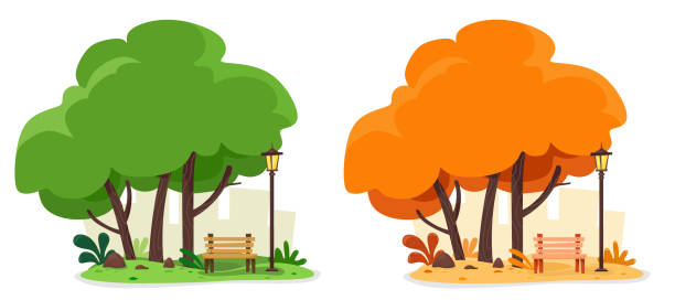 Summer and autumn illustration with a cozy shop and a street lamp for relaxing under the trees. Vector set of two illustrations on whit  park stock illustrations