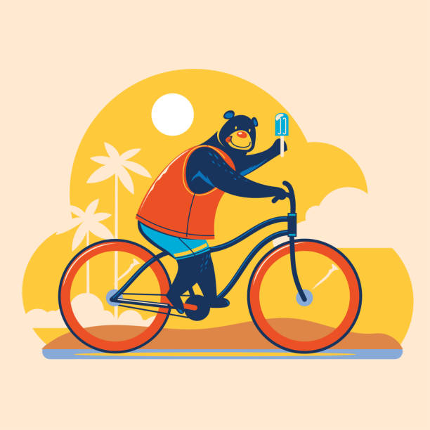 stockillustraties, clipart, cartoons en iconen met de dierlijke illustratie van de zomer. bear cycling touring verken het strand - fietsen strand