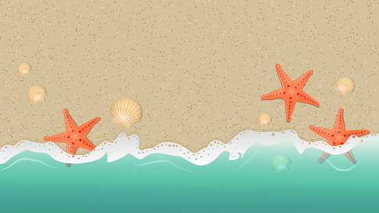 Summer background with sea, sand, starfish and seashells