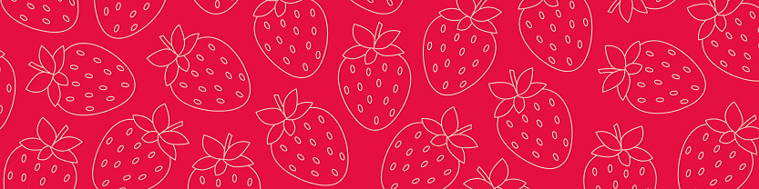 summer banner with outlines of strawberry fruits- vector illustration