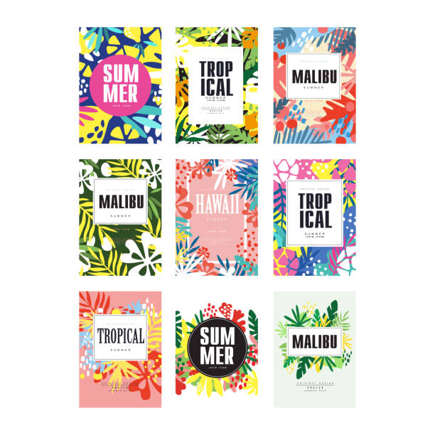 Summer banners set, Malibu, Hawaii tropical vacation and holidays poster vector Illustrations Summer banners set, Malibu, Hawaii tropical vacation and holidays poster vector Illustrations isolated on a white background summer borders stock illustrations