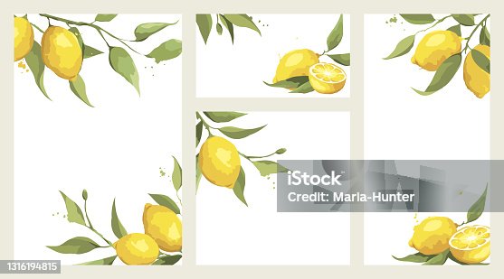 istock Summer card with lemon branch. 1316194815