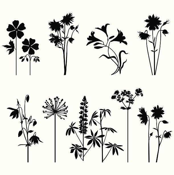 Summer flowers Collection of summer flowers.  flower silhouettes stock illustrations