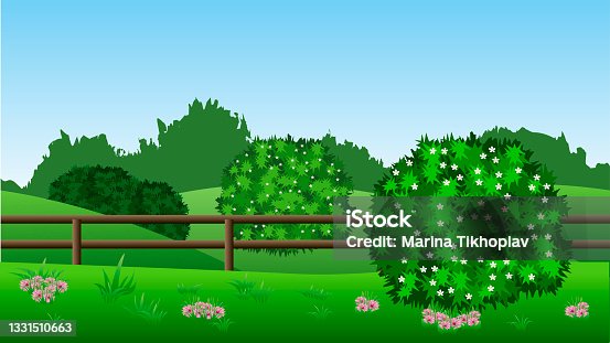 istock Summer landscape background with green bushes in blossom, hills, grass and flowers 1331510663