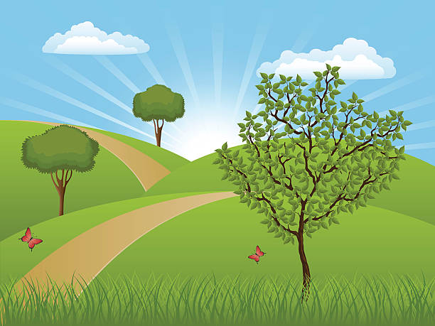 Summer landscape Summer landscape with a trees. Vector illustration. nature path stock illustrations