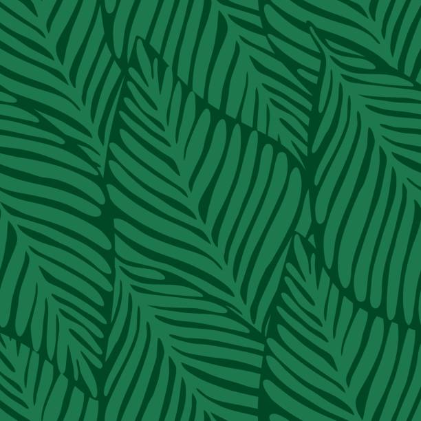 ilustrações de stock, clip art, desenhos animados e ícones de summer nature jungle print. exotic plant. tropical pattern, - palmeiras