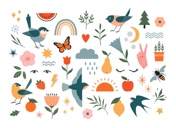 Summer nature vector graphic elements Set of nature vector design elements isolated on white background. Birds, floral and flower elements, fruit, insects and weather elements. bird illustrations stock illustrations