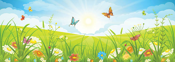 Summer or spring landscape Floral summer or spring landscape, meadow with flowers, blue sky and butterflies meadow stock illustrations