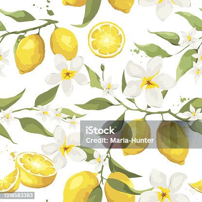 istock Summer pattern with lemon branch and jasmine flowers. 1318583383