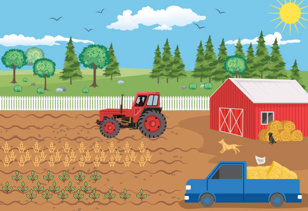 Summer Rural Farm Scene vector art illustration