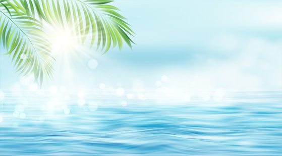 Summer seascape. The rays of the sun and the leaves of the palm tree on the background of the seascape. Sun rays blurred bokeh effect. Vector illustration