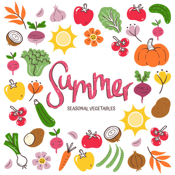 bildbanksillustrationer, clip art samt tecknat material och ikoner med summer seasonal vegetables background - squash sun