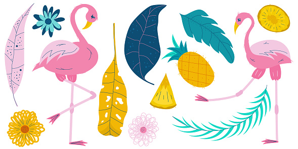 Summer set with pink flamingo and tropical leaves isolated on white background.Fruit pineapple in a cut and a piece. Flowers and colorful leaves for summer design. Flat vector illustration