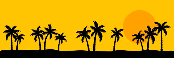 Summer sunset with palms silhouette, banner background. Summer sunset with palms silhouette, banner background. beach clipart stock illustrations