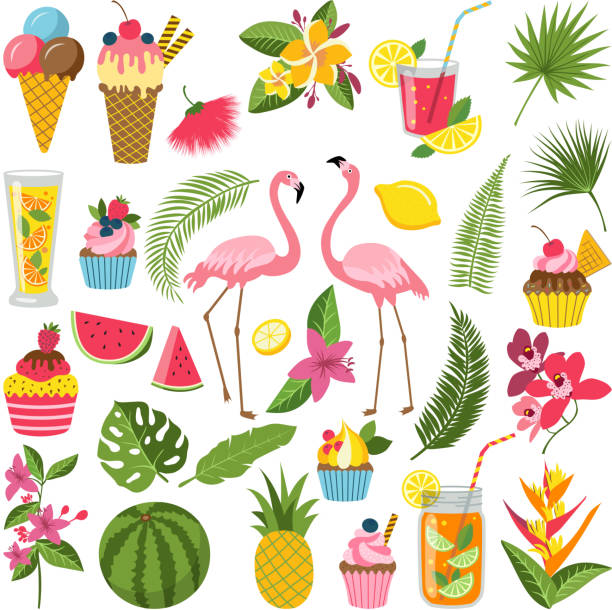 Summer time labels set for tropical party. Different icons in flat style. Drinks, watermelon, lemonade and flamingo Summer time labels set for tropical party. Different icons in flat style. Drinks, watermelon, lemonade and flamingo. Summer holiday and tropical object food and beverage. Vector illustration travel clipart stock illustrations