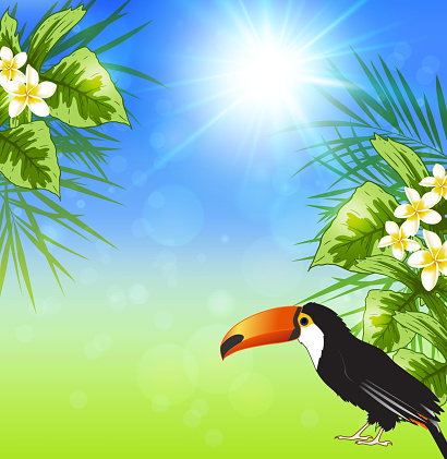 Summer tropical background