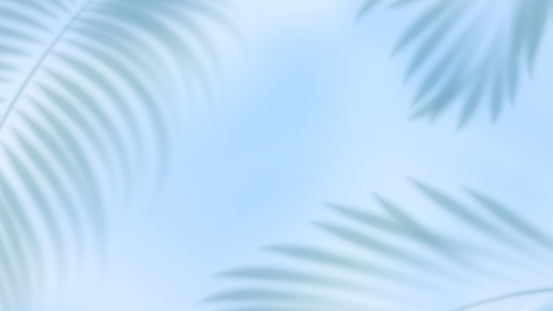Summer tropical background with blurred palm leaves. Exotic botanical design with jungle plants for invitation, banner, poster. Vector illustration