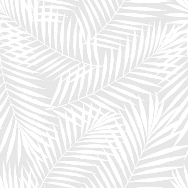 ilustrações de stock, clip art, desenhos animados e ícones de summer tropical palm tree leaves seamless pattern. vector grunge design for cards, web, backgrounds and natural product - palmeiras