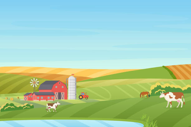 Summer warm weather farm coutryside landscape with eco cottage, barn, windmill, tractor, silage tower, cow, horse, green and orange fields near the blue clean lake flat vector illustration. Summer warm weather farm coutryside landscape with eco cottage, barn, windmill, tractor, silage tower, cow, horse, green and orange fields near the blue clean lake flat vector illustration farm stock illustrations