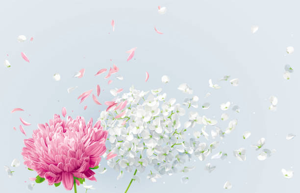 夏風ベクトル花図面 - 花びら　舞う点のイラスト素材／クリップアート素材／マンガ素材／アイコン素材