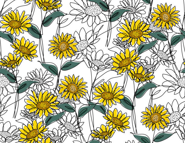 bildbanksillustrationer, clip art samt tecknat material och ikoner med sunflower in continuous one line drawing and coloring. modern minimalist art. seamless pattern. - sweden summer