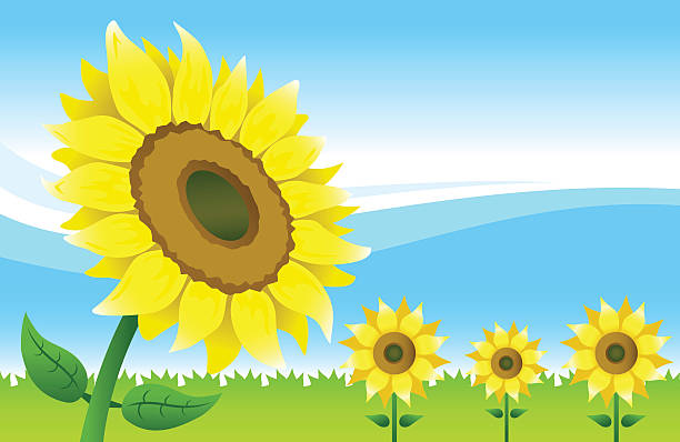 Free SVG Sunflower Leaves Svg 16549+ SVG Design FIle