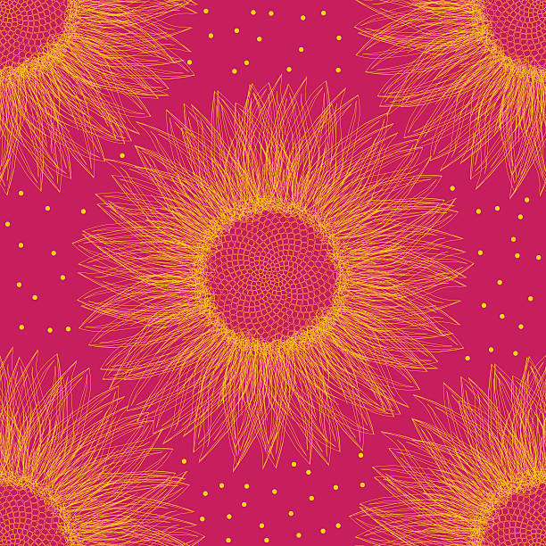 Sunflower vector art illustration