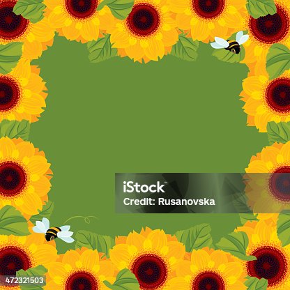 istock Sunflowers Background 472321503