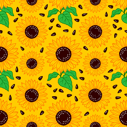 Sunflowers pattern seamless, Bright repeating yellow sunflowers background Vector illustration