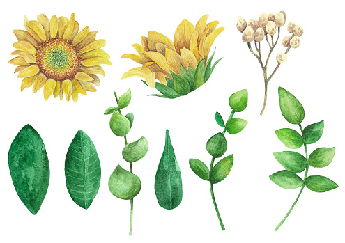 Download Sunflowers Vector Clipart Rustic Flowers Set Stock ...