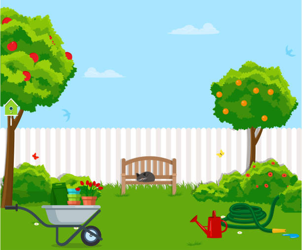 Sunny back yard with green lawn, fence, bench, fruit trees, bushes, flowers, birdhouse, hose, wheelbarrow. Vector illustration Vector illustration. Painted in shape gardening backgrounds stock illustrations