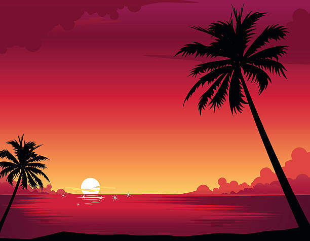 Sunset Beach Sunset Beach  summer silhouettes stock illustrations