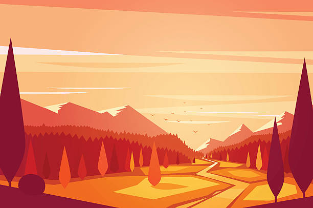 Sunset landscape. The road across the forest in the red sunset light.  Vector illustration. august stock illustrations
