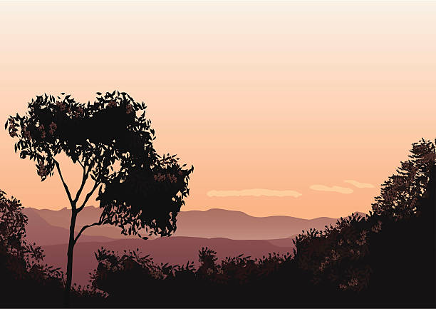 Sunset over The Lost World  desert area silhouettes stock illustrations