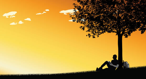 Sunset Reading Serenity Student sitting under a tree at sunset and reading a book book silhouettes stock illustrations