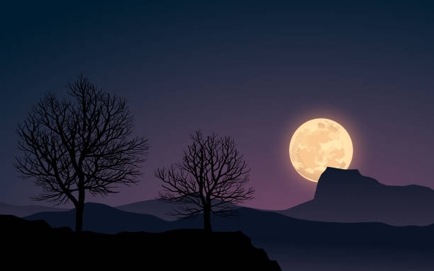 Super moon night landscape with full moon and trees moon stock illustrations
